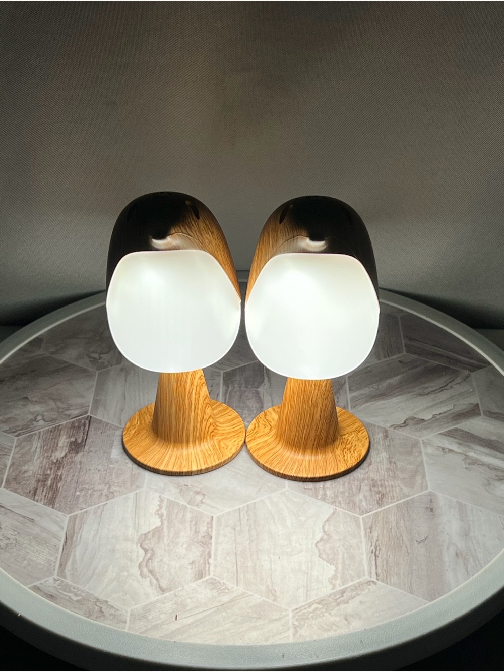 Set of 2 Bird Shaped LED Night Lights Wood Grain USB Rechargeable Table Lamps - Picture 5 of 13